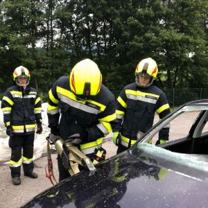 SchereSpreizer 19
