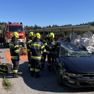 SchereSpreizer 005