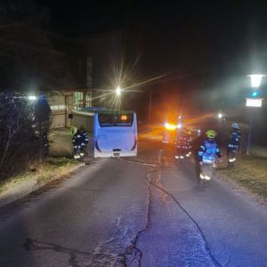 Bus 03