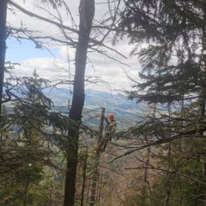 Paragleiter 05