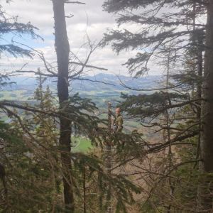 Paragleiter 06