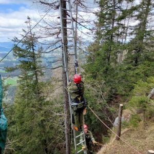 Paragleiter 11
