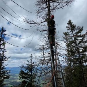 Paragleiter 12