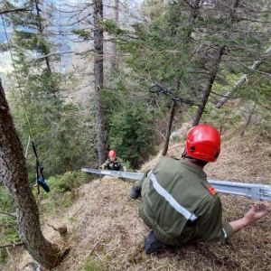 Paragleiter 19